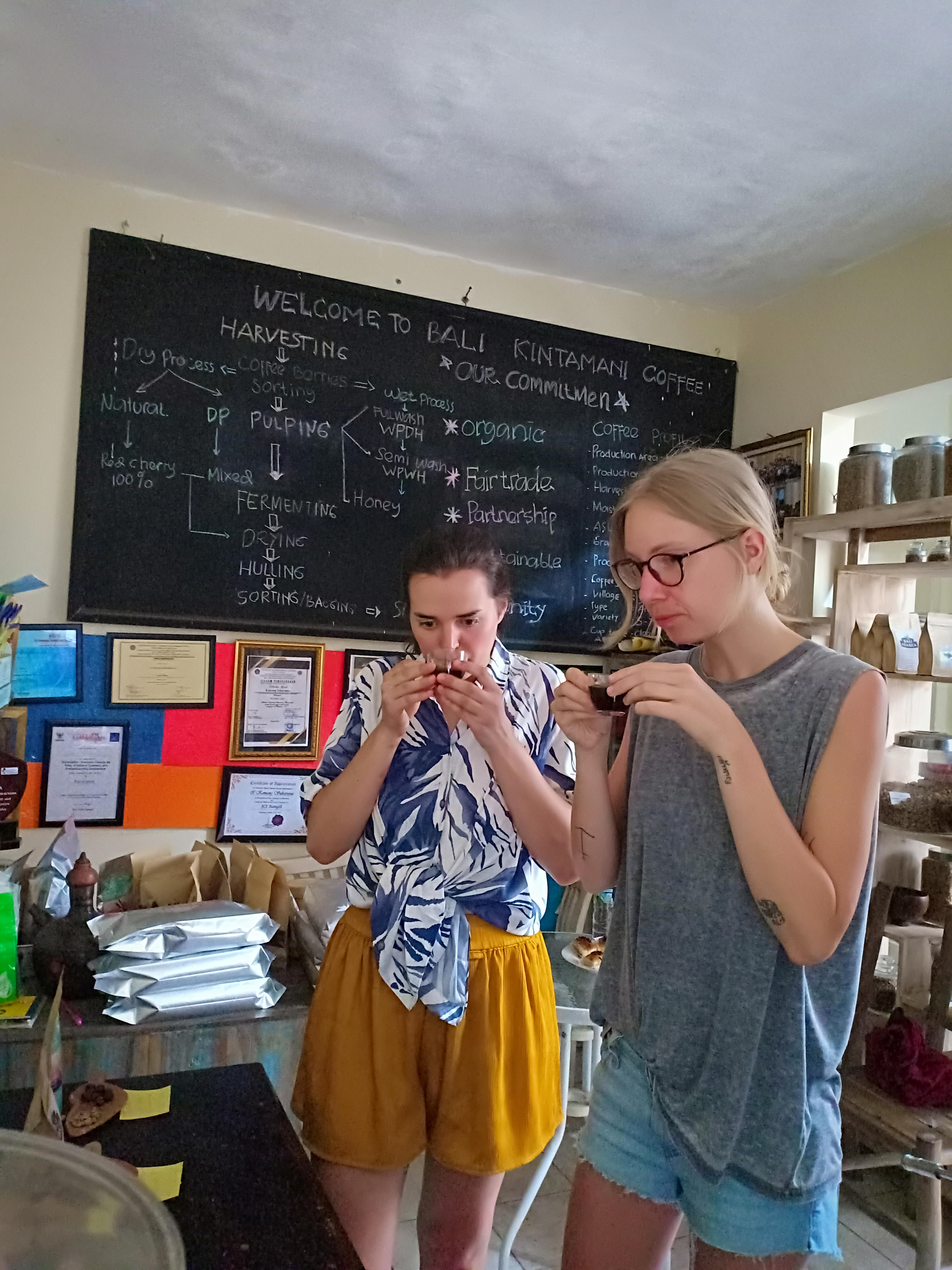 Special Tasting & Brewing Coffee Class In Ubud