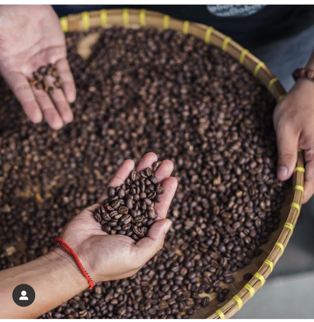Special Tasting & Brewing Coffee Class In Ubud