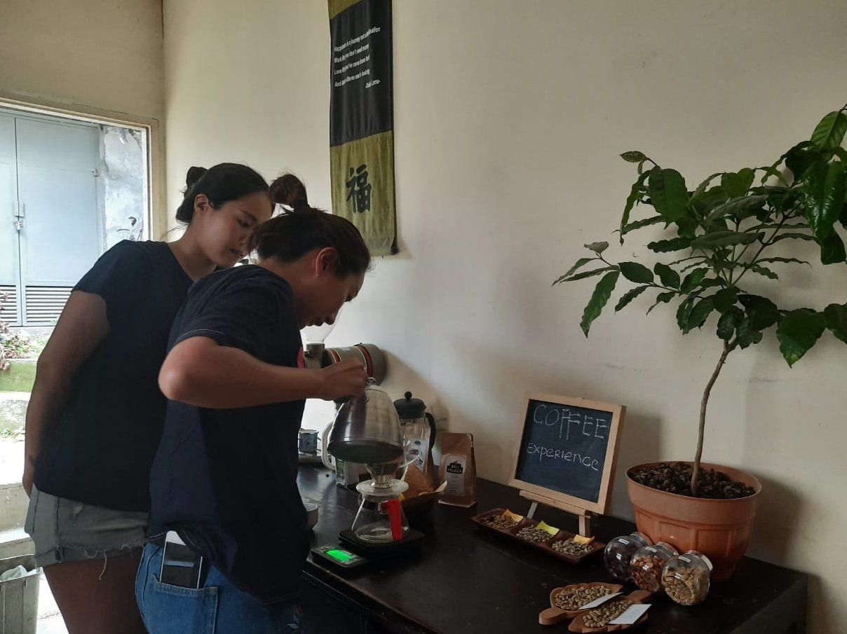 Special Tasting & Brewing Coffee Class In Ubud
