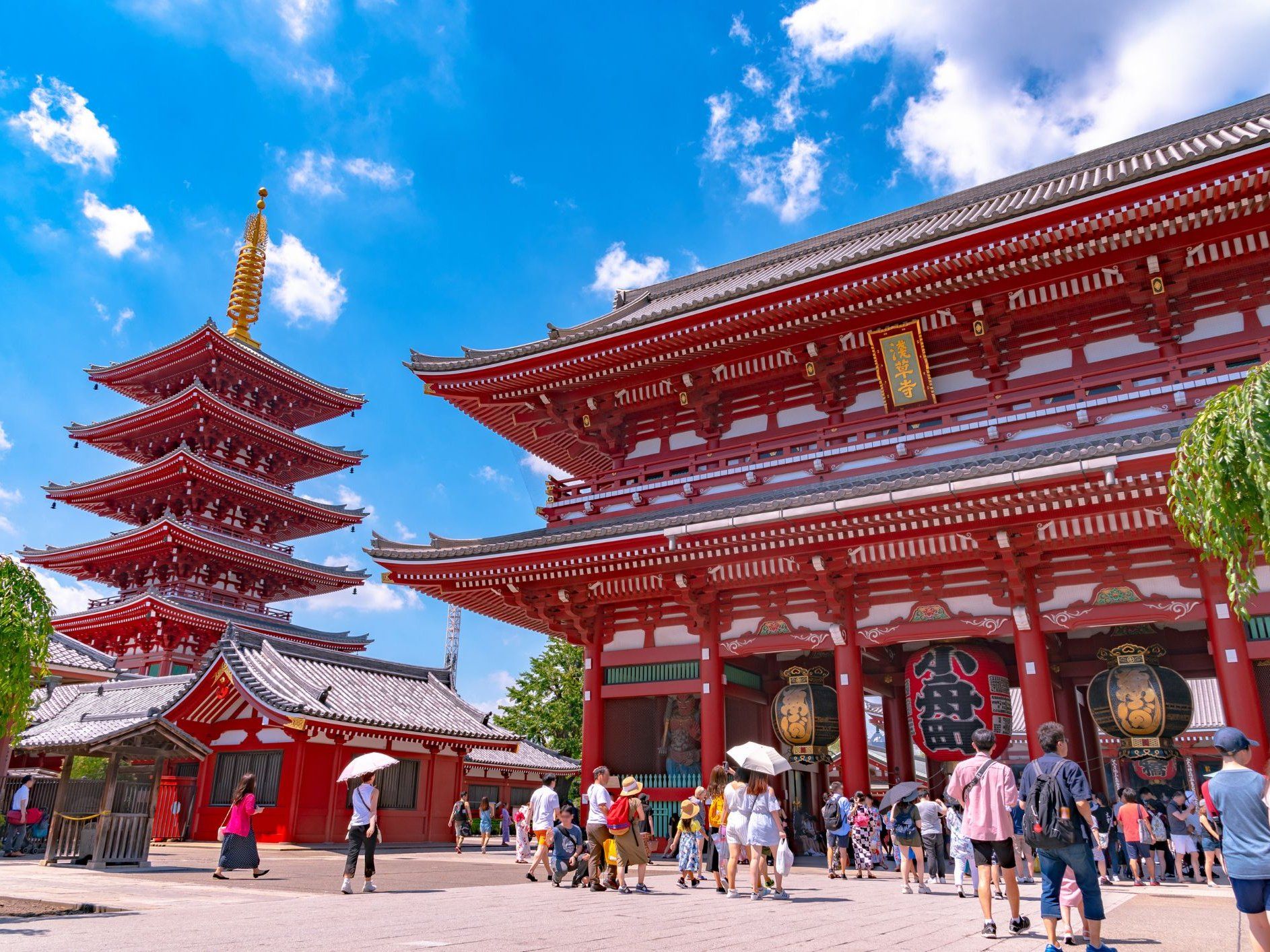 Sushi Making Masterclass in Tokyo: Learn Techniques from Experts in Asakusa