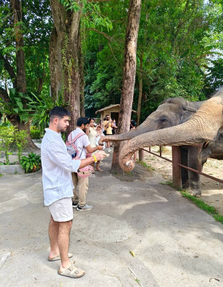 Sustainable Thai Cooking Class & Gentle Giant Feeding Experience