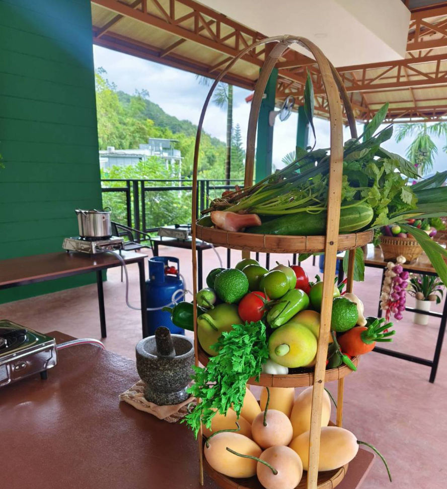 Sustainable Thai Cooking Class & Gentle Giant Feeding Experience