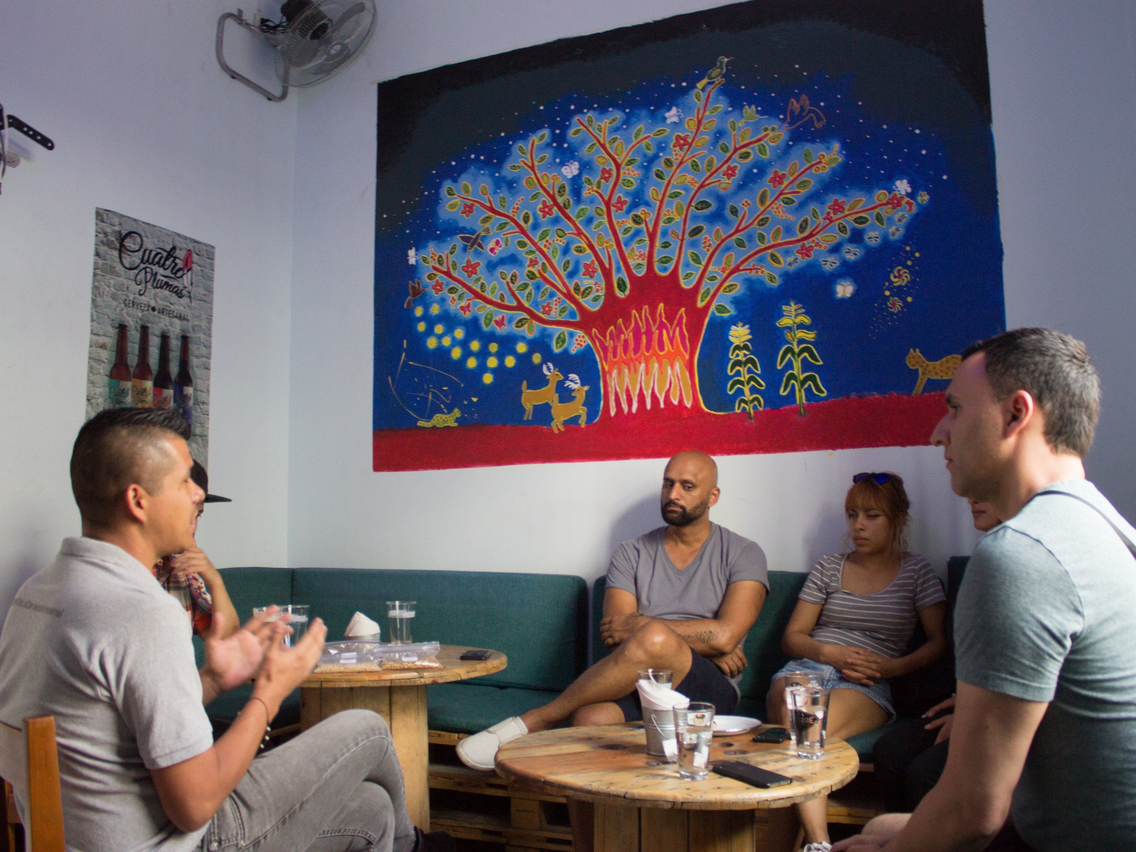 Tapatío Beers & Fun: Mexican Craft Beer Tasting Experience in Guadalajara