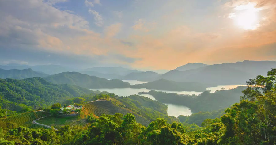 Tea Plantation Tour Around Thousand Island Lake