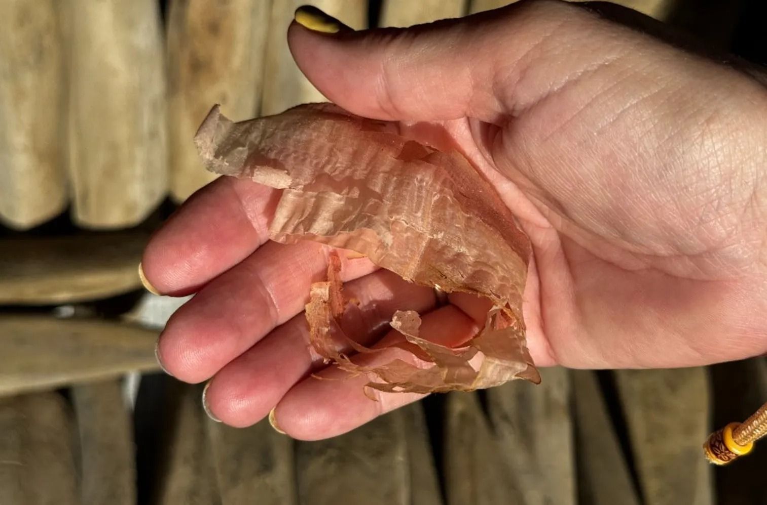 Ten Tastes of Tokyo: Ueno