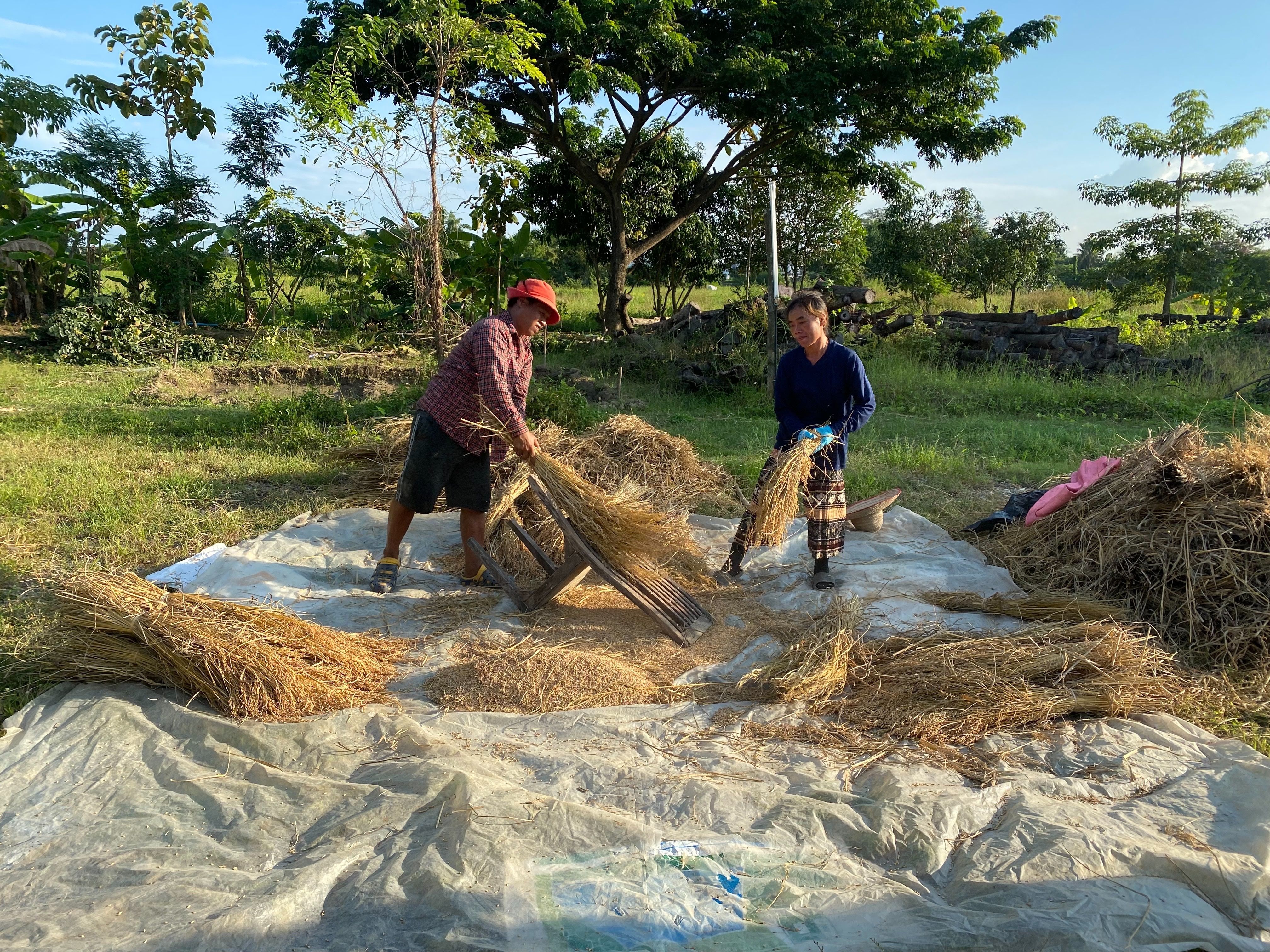 Thai Cooking Class in Organic Farm with Local Market Tour