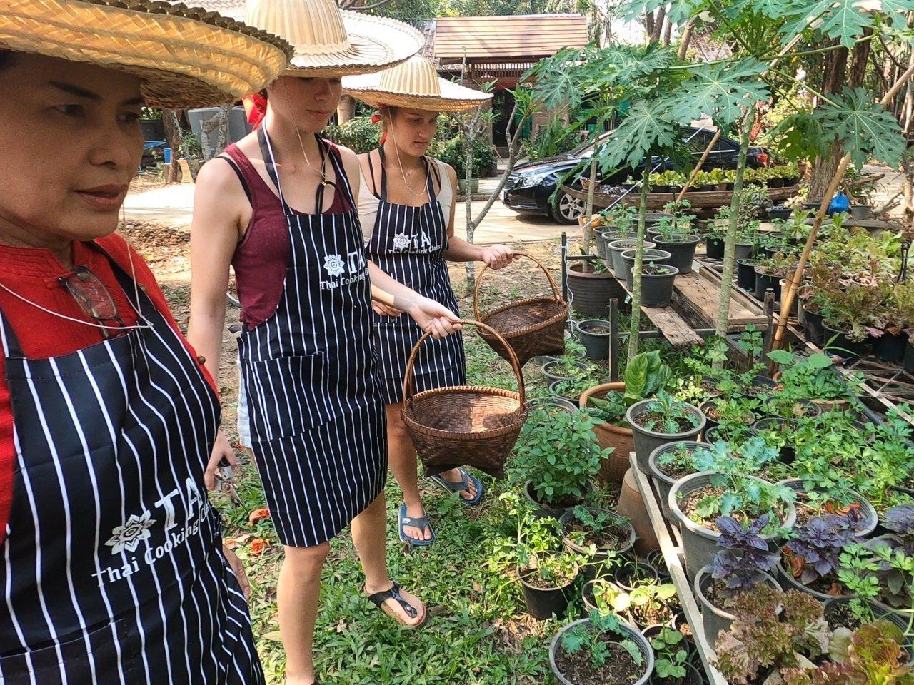 Thai Cooking Class in Sukhothai