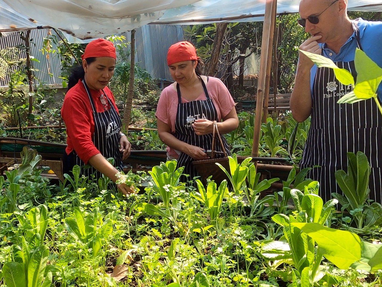 Thai Cooking Class in Sukhothai