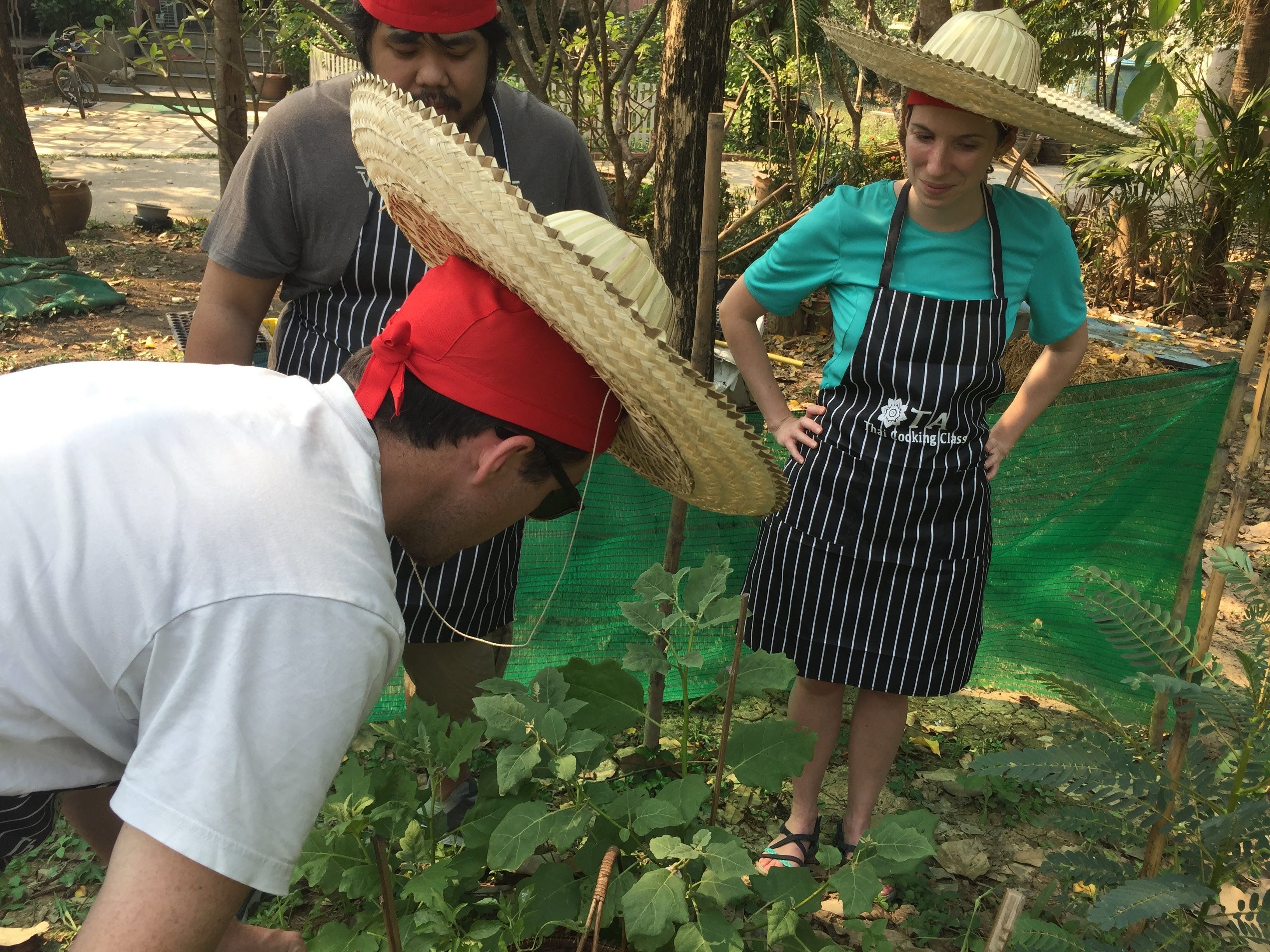 Thai Cooking Class in Sukhothai