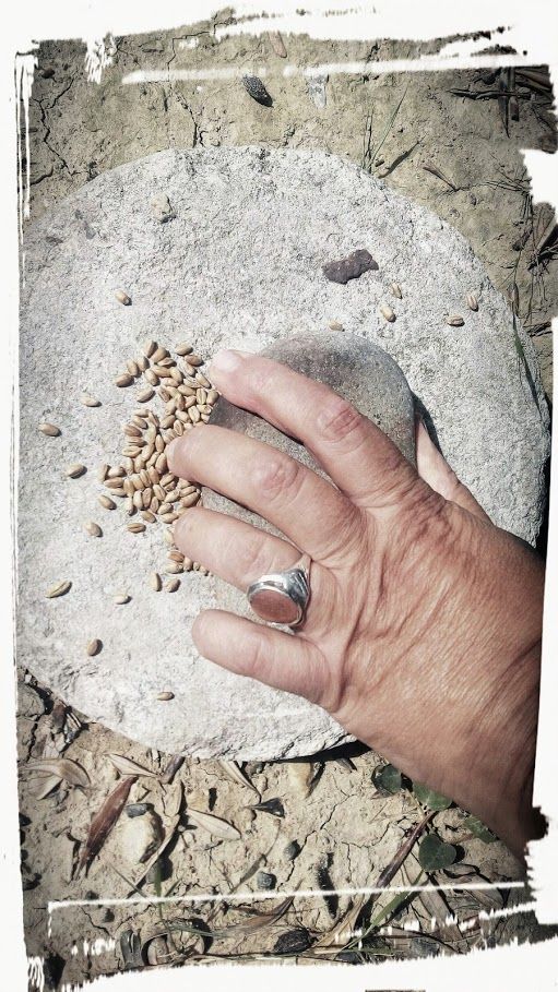 Learn About the Ancient Art of Making Cheese and Bread in a 300 Year Old Olive Grove