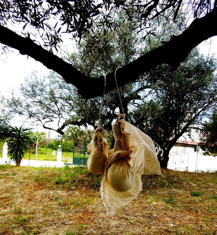 Learn About the Ancient Art of Making Cheese and Bread in a 300 Year Old Olive Grove