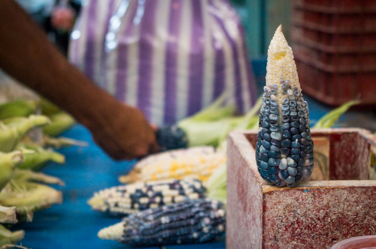 The Best Market Experience in Mexico City on Mondays, Wednesdays, Fridays and Saturdays