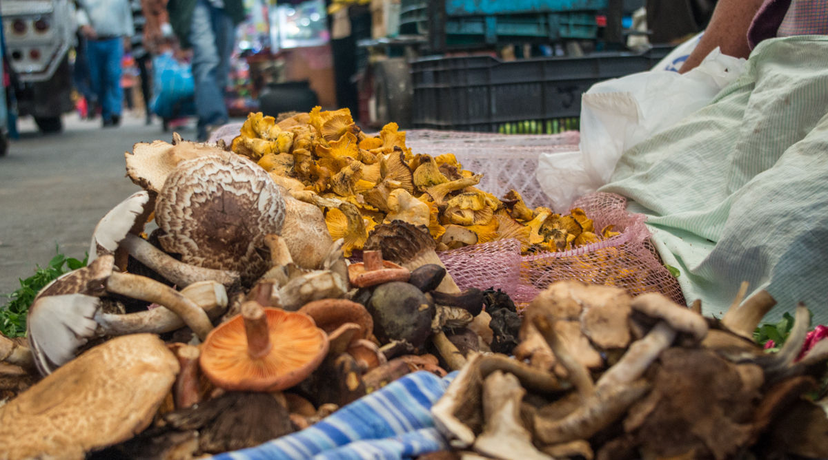 The Best Market Experience in Mexico City on Mondays, Wednesdays, Fridays and Saturdays