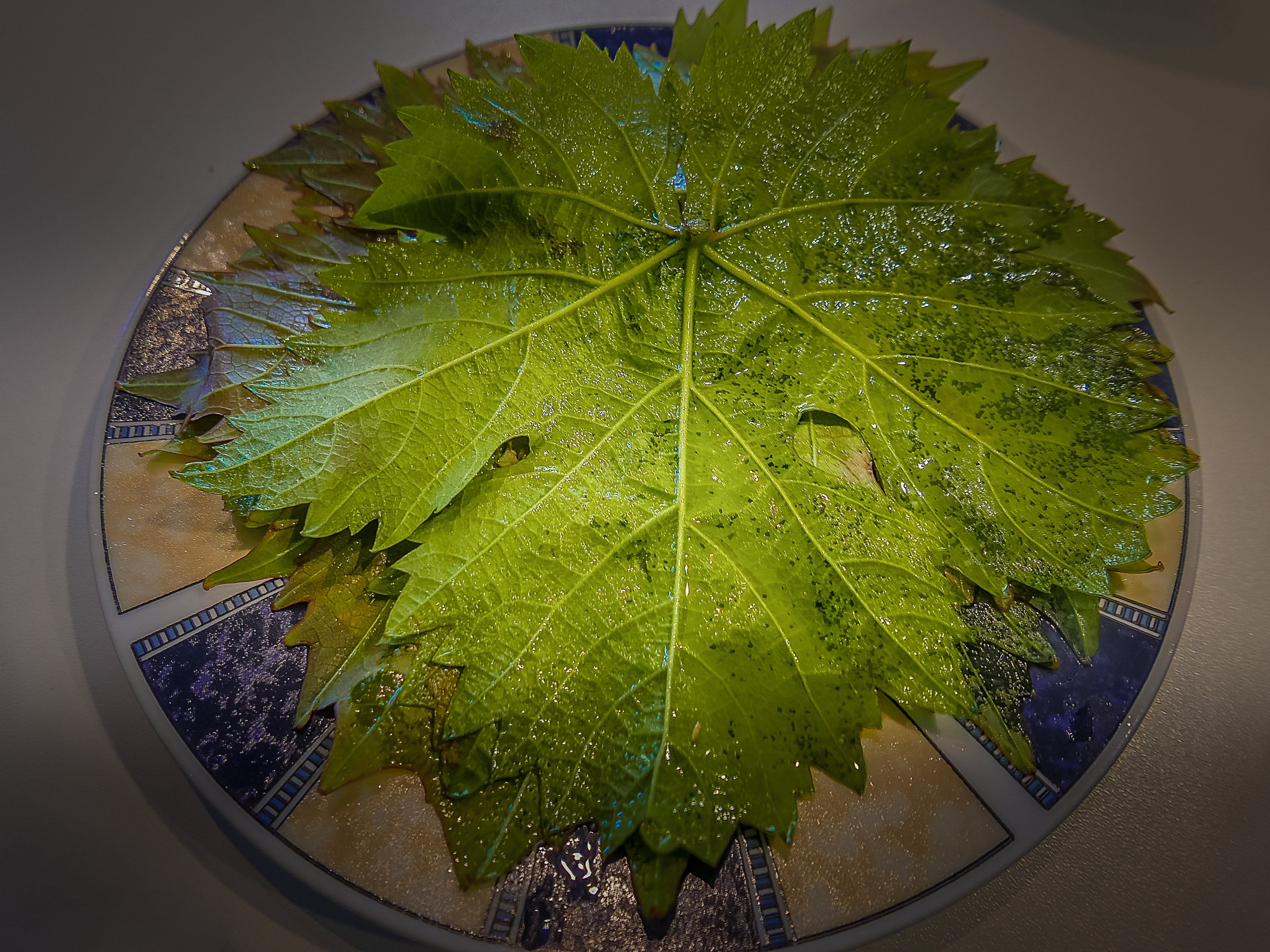 Authentic Cretan Cooking Class with Cheese Making & Olive Oil Tasting