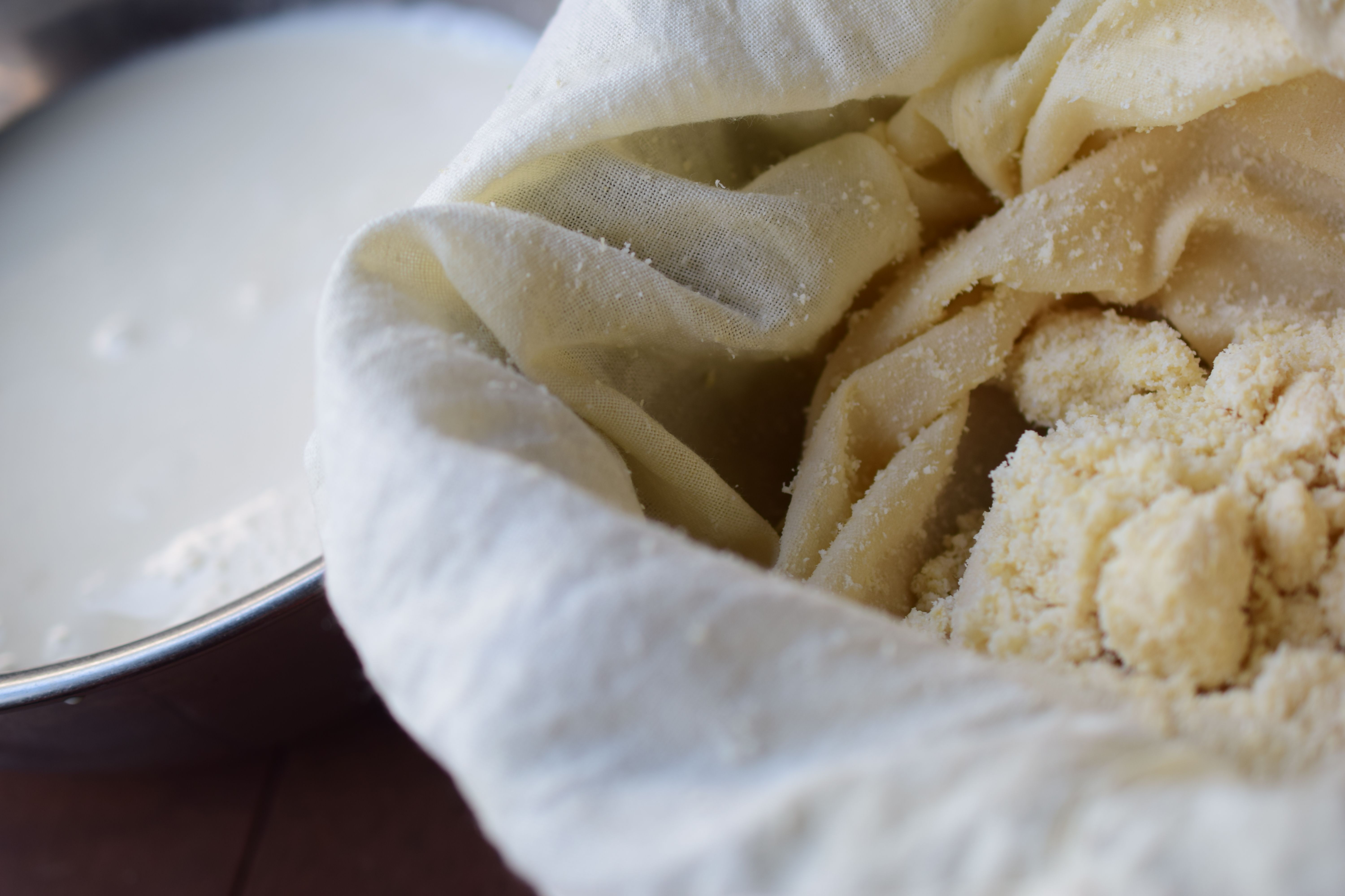 Macrobiotic Tofu Making Class & Japanese Vegan Meal: Countryside Tokyo Retreat