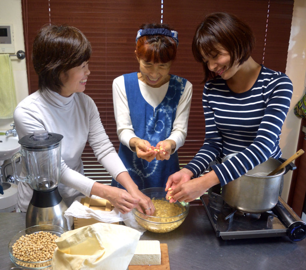 Macrobiotic Tofu Making Class & Japanese Vegan Meal: Countryside Tokyo Retreat