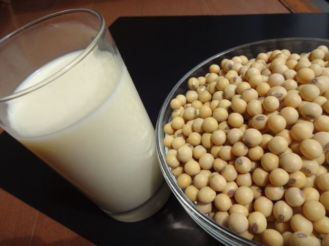 Macrobiotic Tofu Making Class & Japanese Vegan Meal: Countryside Tokyo Retreat