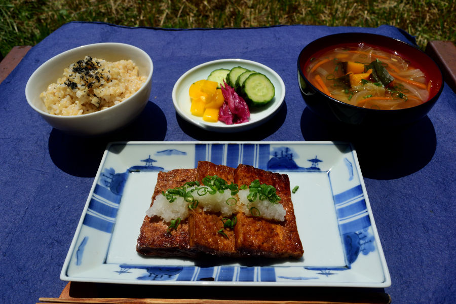 Tofu Making Class and Japanese Vegan Meal by Macrobio-vegan Teacher at Saitama