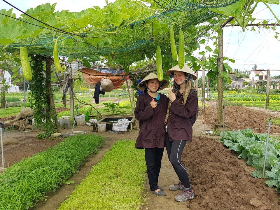 Hoi An Cooking Class with Market Visit and Bamboo Basket Boat Tour
