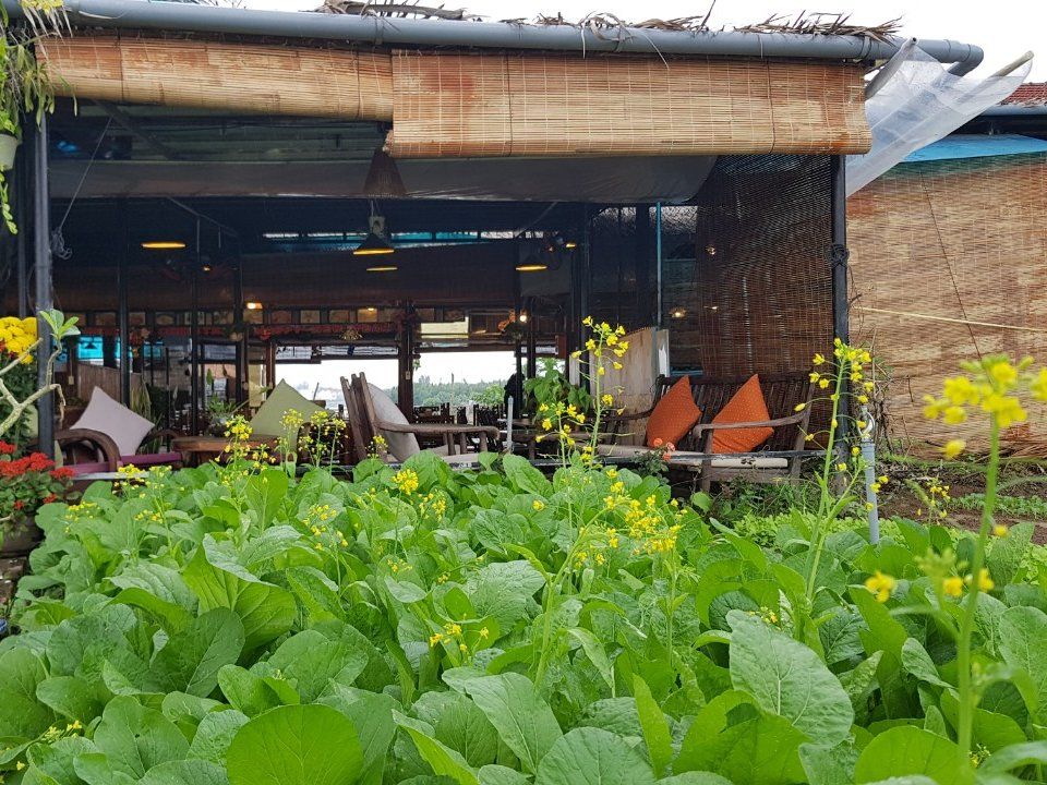 Hoi An Cooking Class with Market Visit and Bamboo Basket Boat Tour