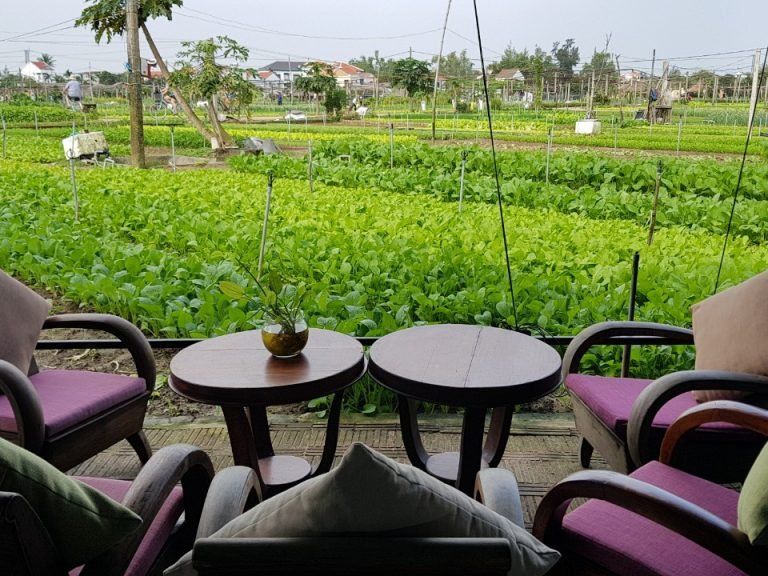 Hoi An Cooking Class with Market Visit and Bamboo Basket Boat Tour
