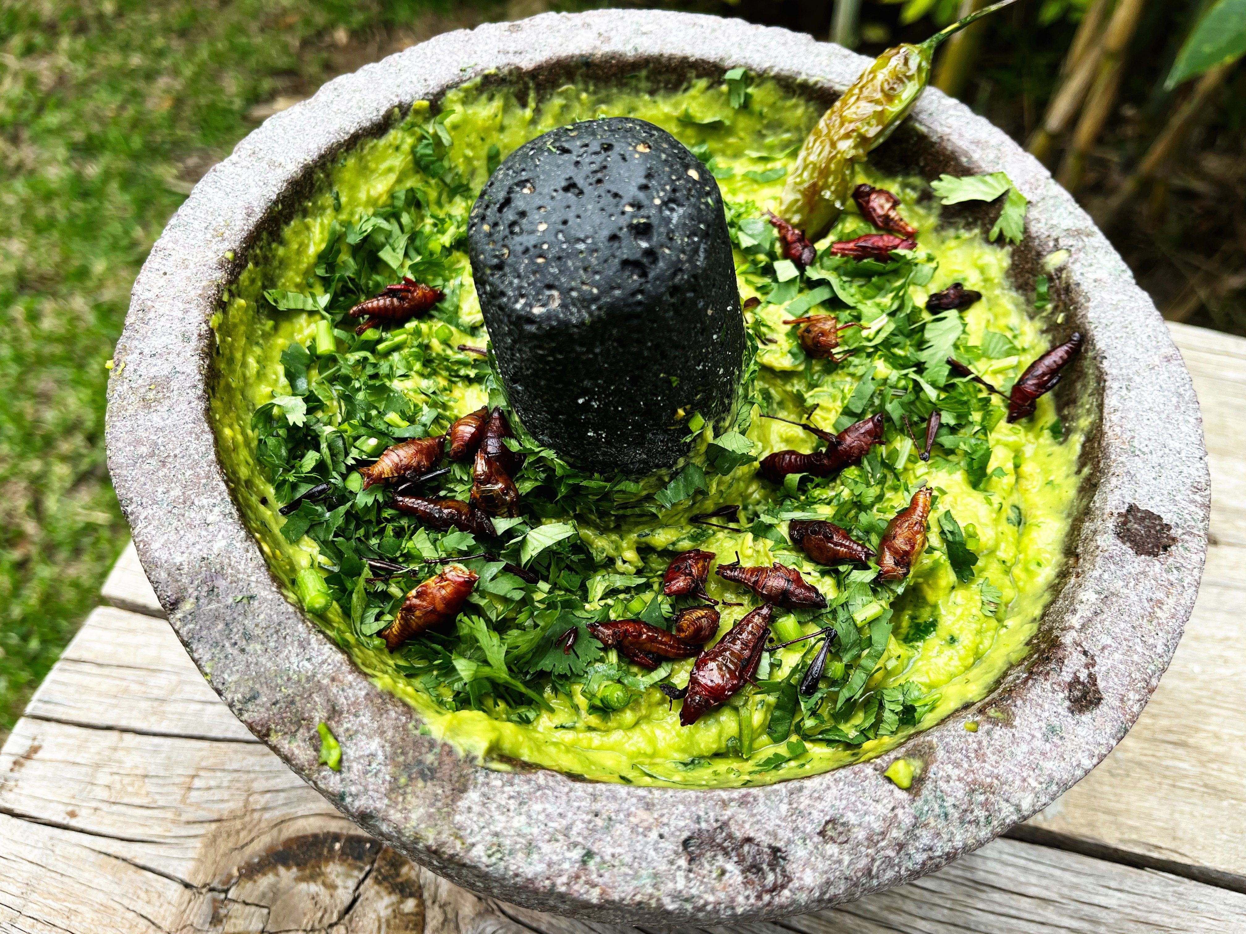 Traditional Oaxacan Cooking Class