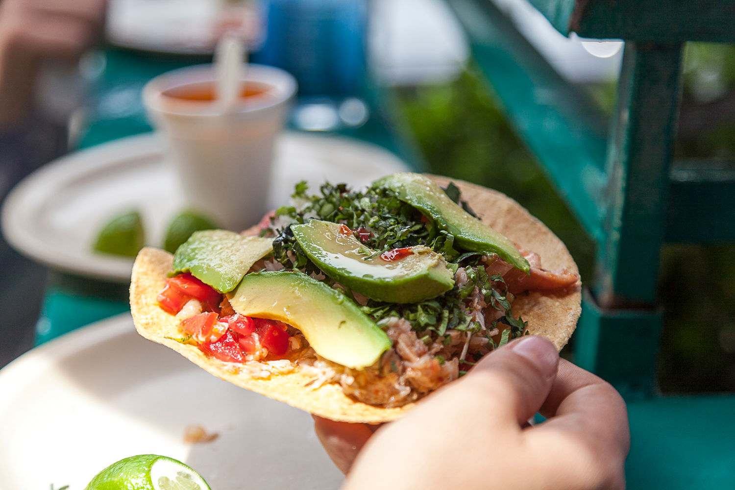 Sabores Mexico Food Tours Eat The Most Traditional Mexican Food With 