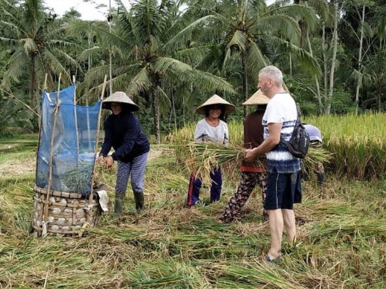 Immersive Experience in Traditional Balinese Cuisine