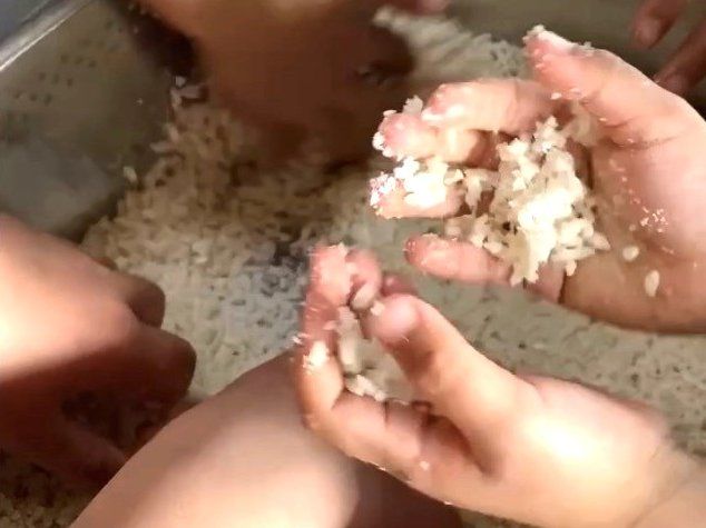 Traditional Japanese Miso Workshop & Vegan Lunch + Miso Souvenir (Countryside)