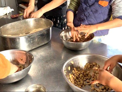 Traditional Japanese Miso Workshop & Vegan Lunch + Miso Souvenir (Countryside)