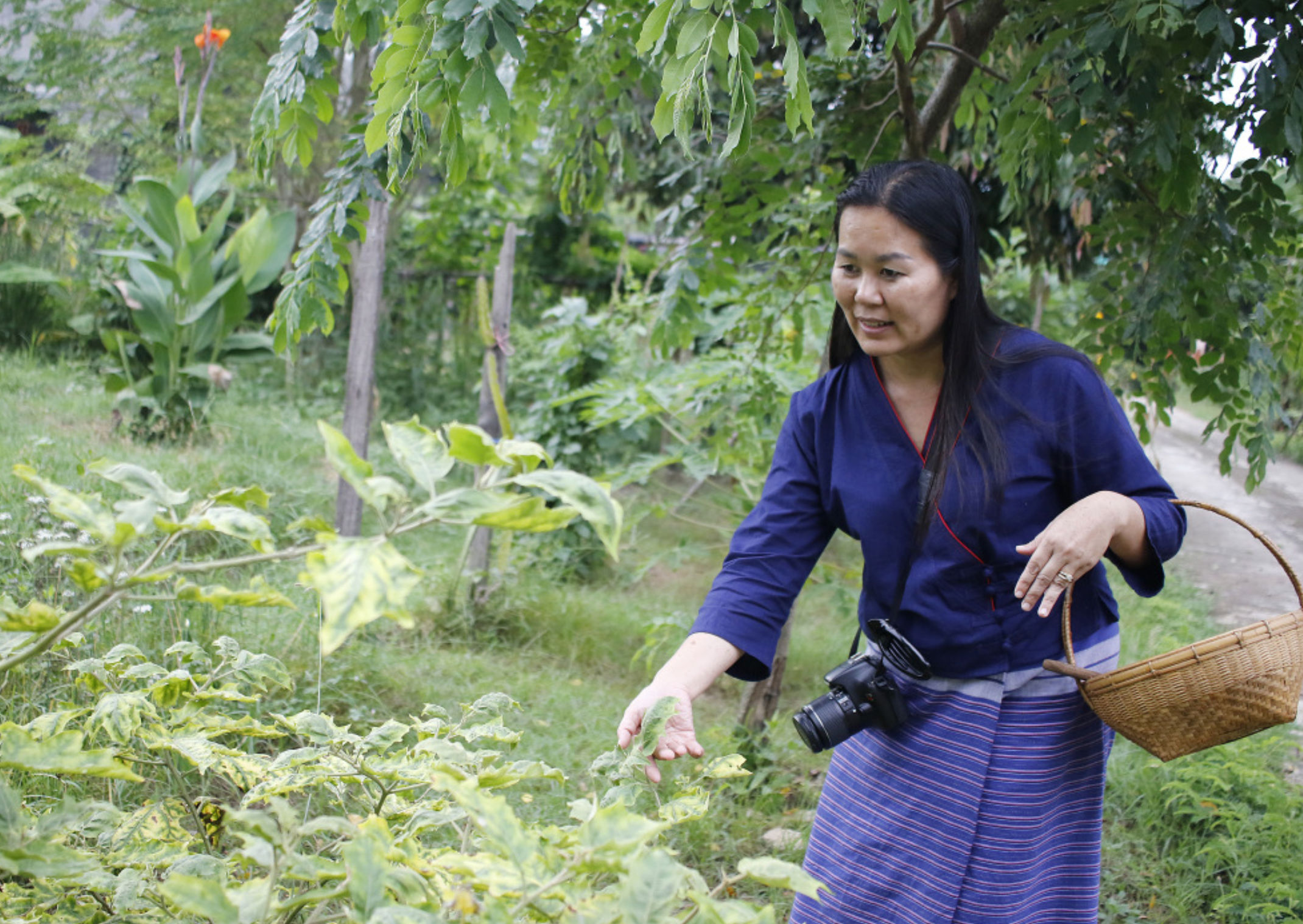 Traditional Lanna Countryside Cooking Experience