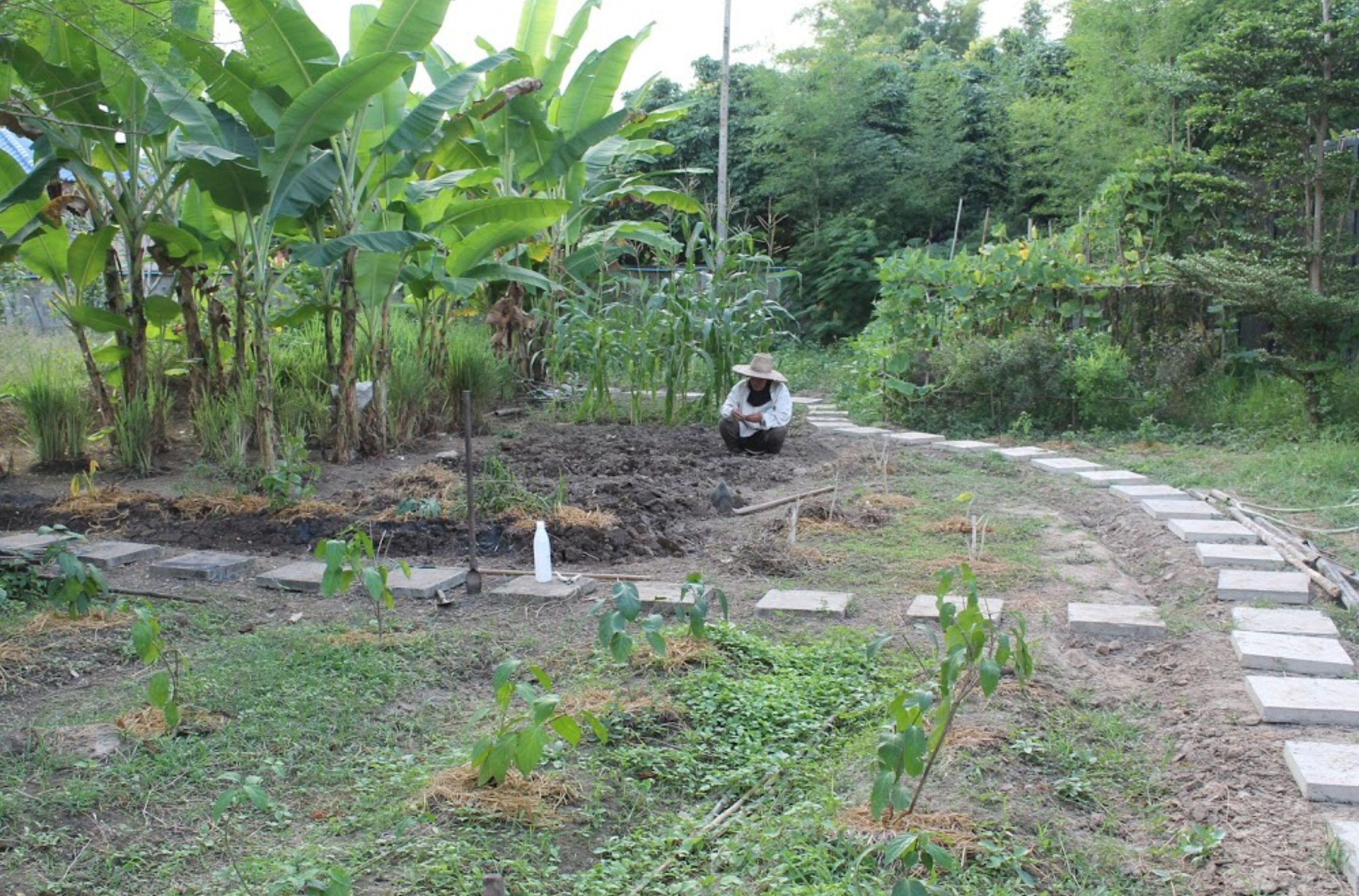 Traditional Lanna Countryside Cooking Experience