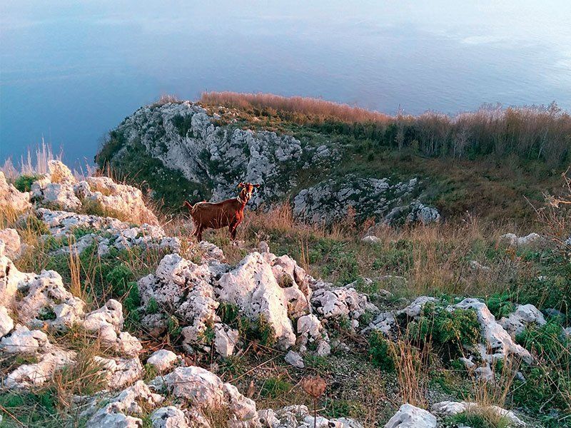 Trek 'n' Cook with Satva and Enrico near Amalfi