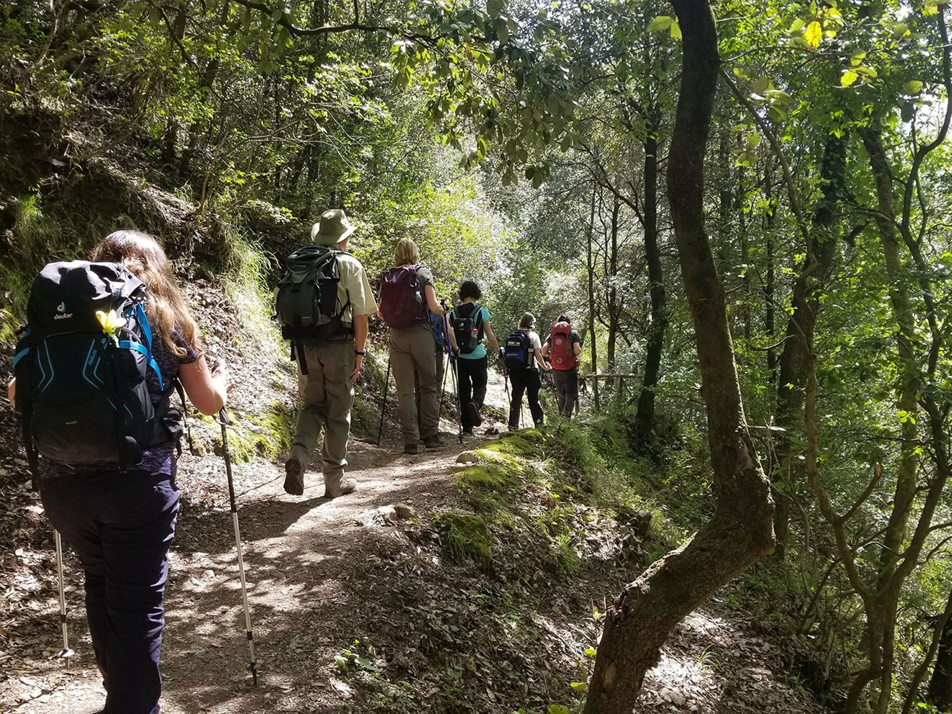 Trek 'n' Cook with Satva and Enrico near Amalfi