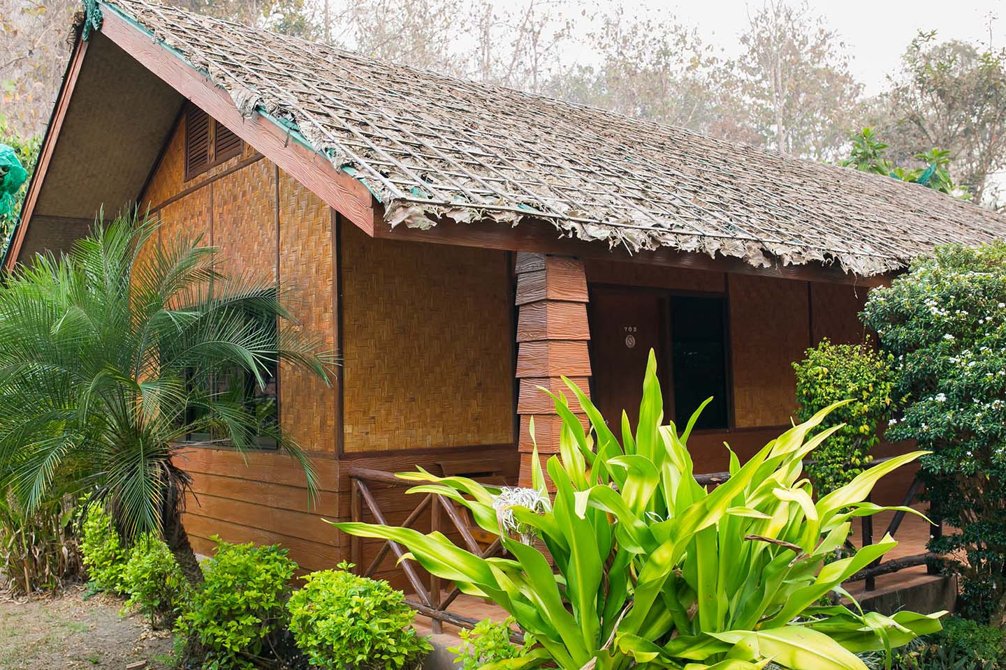 Cooking, Trekking, Elephant Caring and Learning about Karen Culture (3 Days 2 Nights)