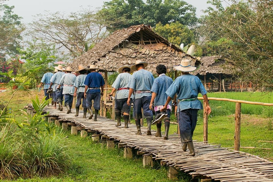 Cooking, Trekking, Elephant Caring and Learning about Karen Culture (3 Days 2 Nights)