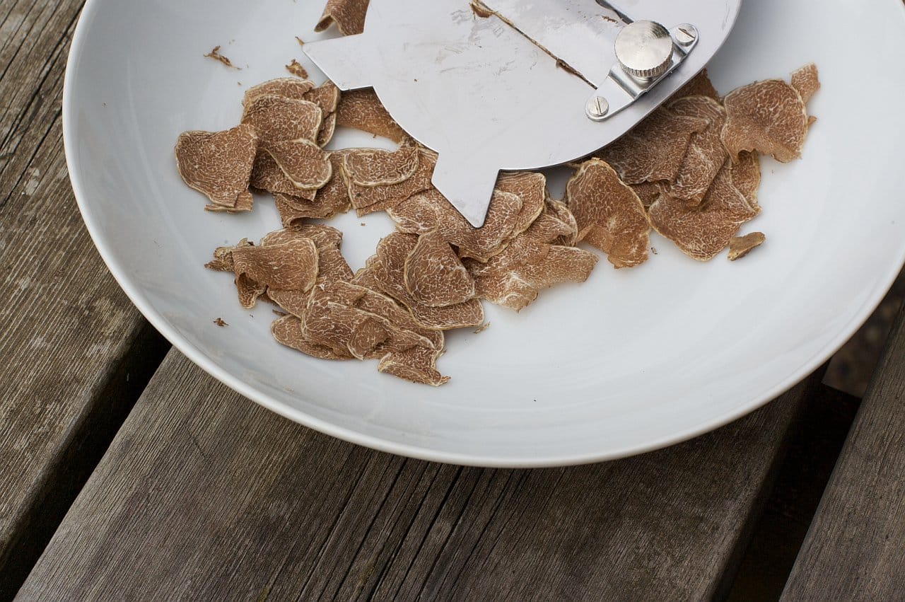 Truffle Hunting in the Woods of Valdichiana Senese