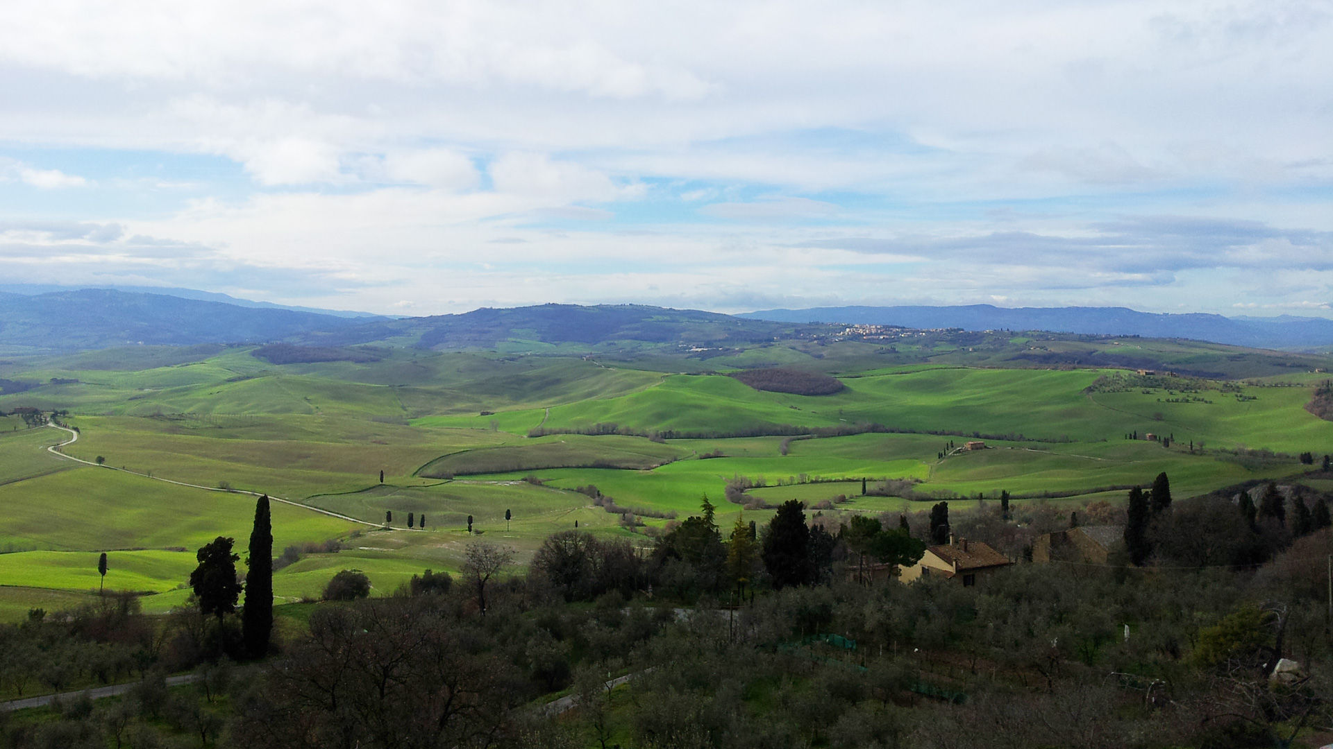 Truffle Hunting in the Woods of Valdichiana Senese