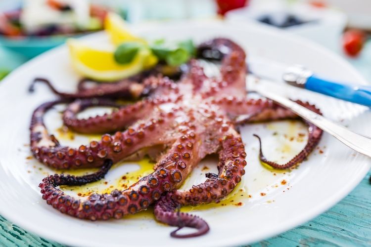 Tuscan Italian Cooking in Gragnano
