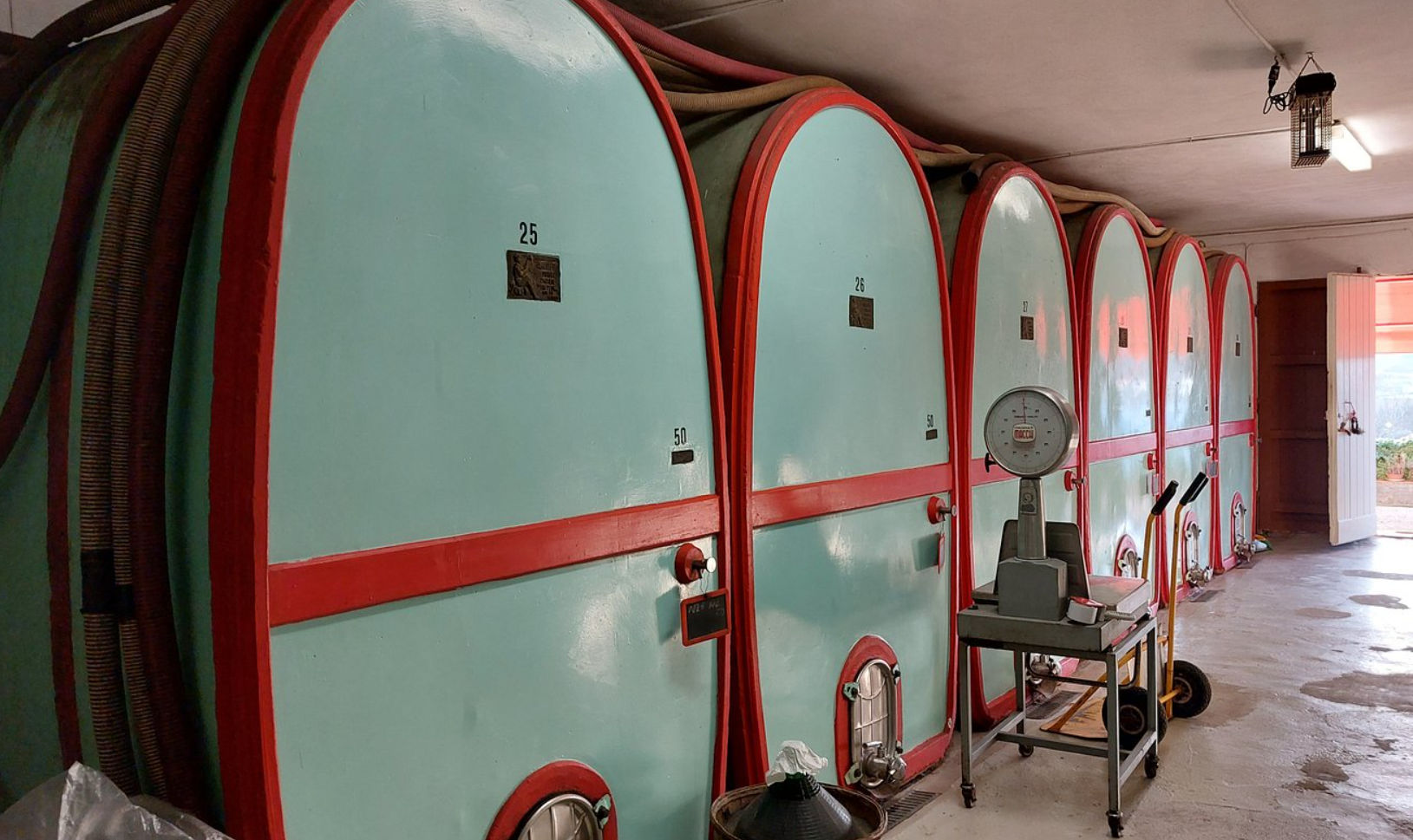 Master Tuscan Wine Experience: From Vineyard Walk to Guided Tasting