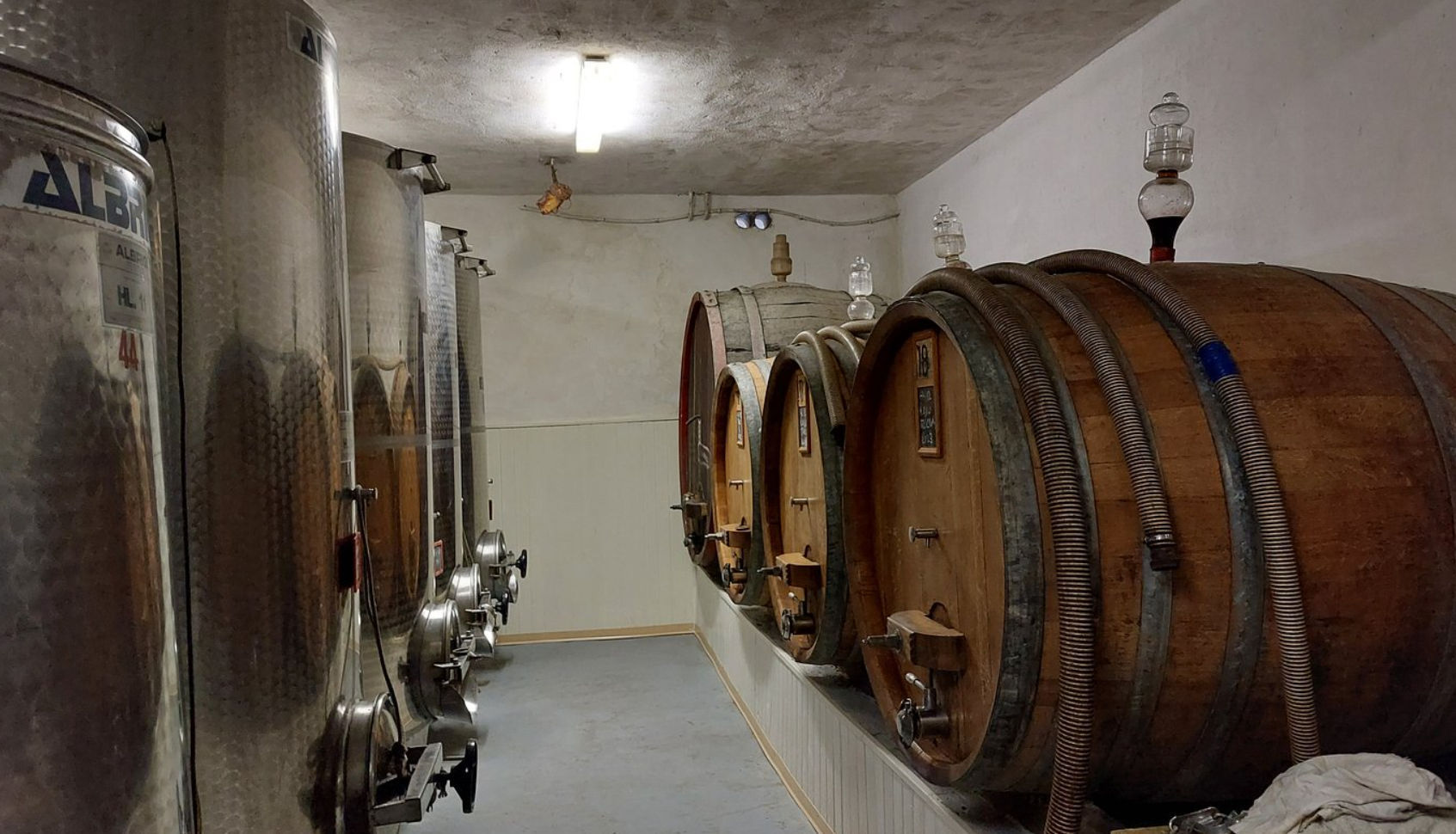 Master Tuscan Wine Experience: From Vineyard Walk to Guided Tasting