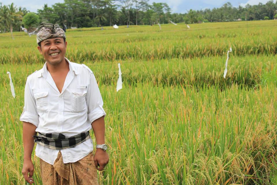 Half-Day Balinese Culinary Experience in Ubud