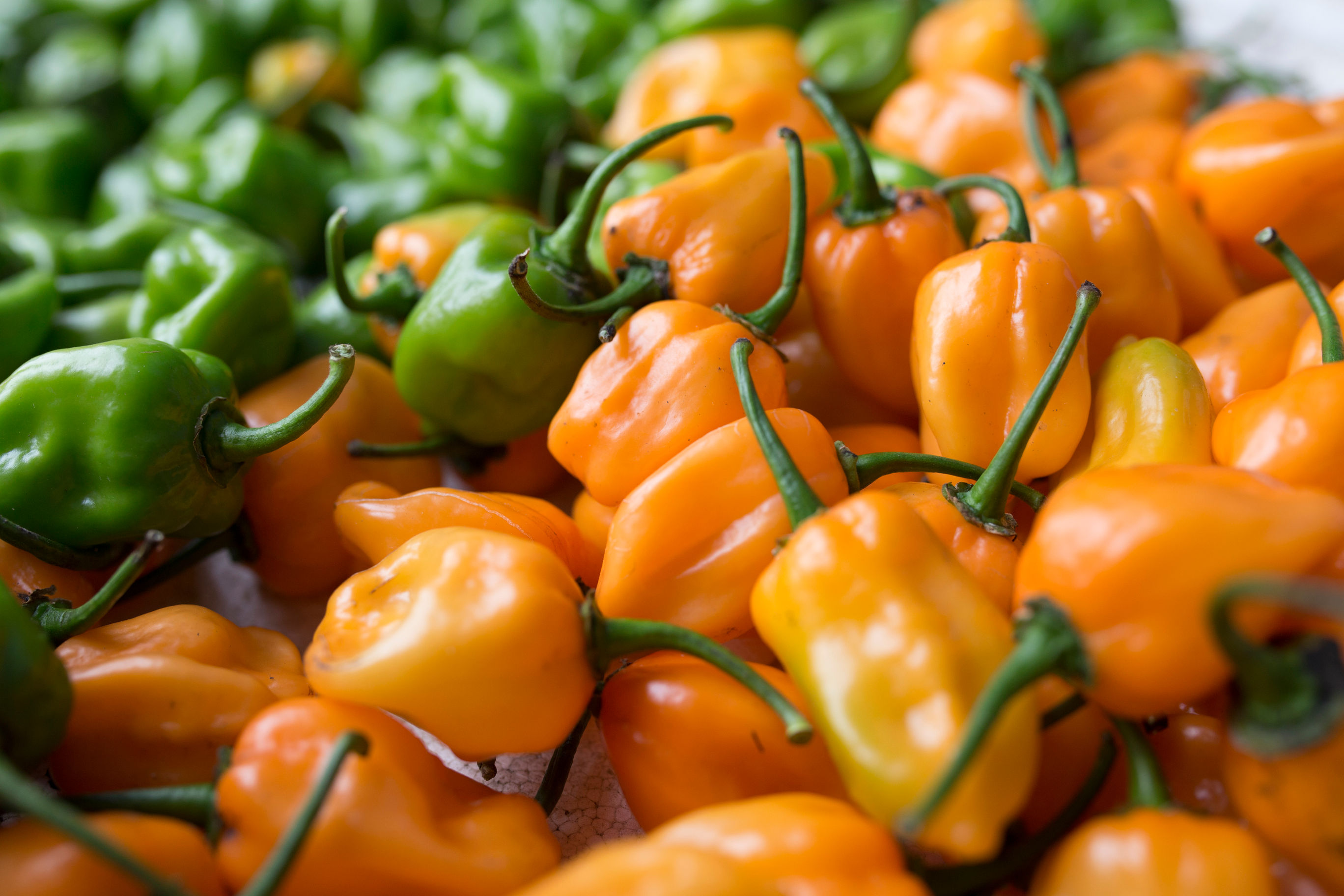 Depths of the Yucatan: Valladolid Market Tour & Street Food + Cenote + Cooking Class (Transportation Included)