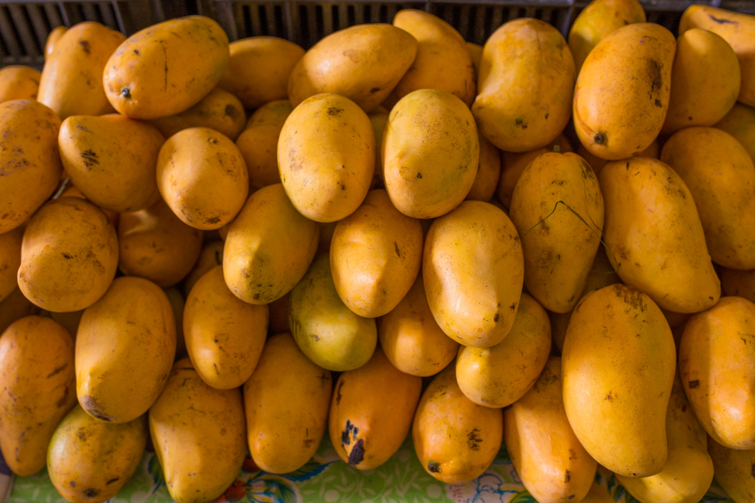 Depths of the Yucatan: Valladolid Market Tour & Street Food + Cenote + Cooking Class (Transportation Included)