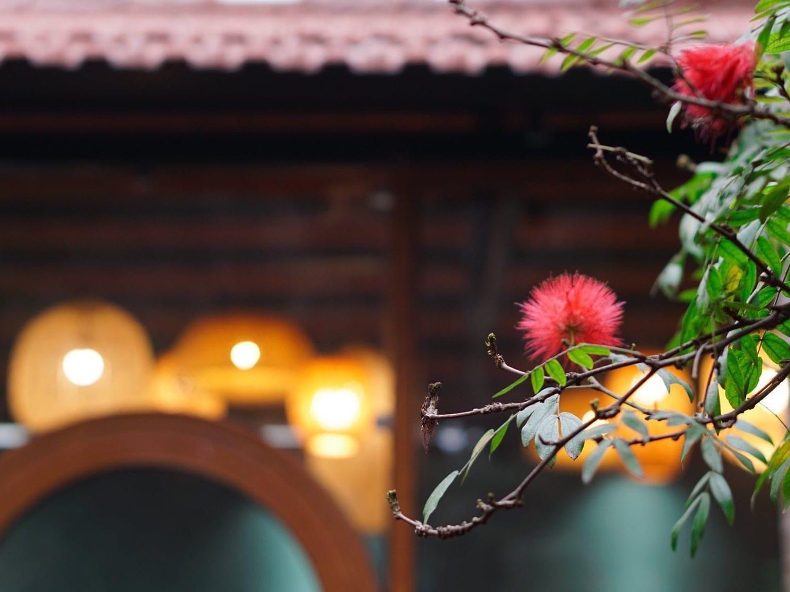 Vegan Cooking Class in Local Villa with Market Visit