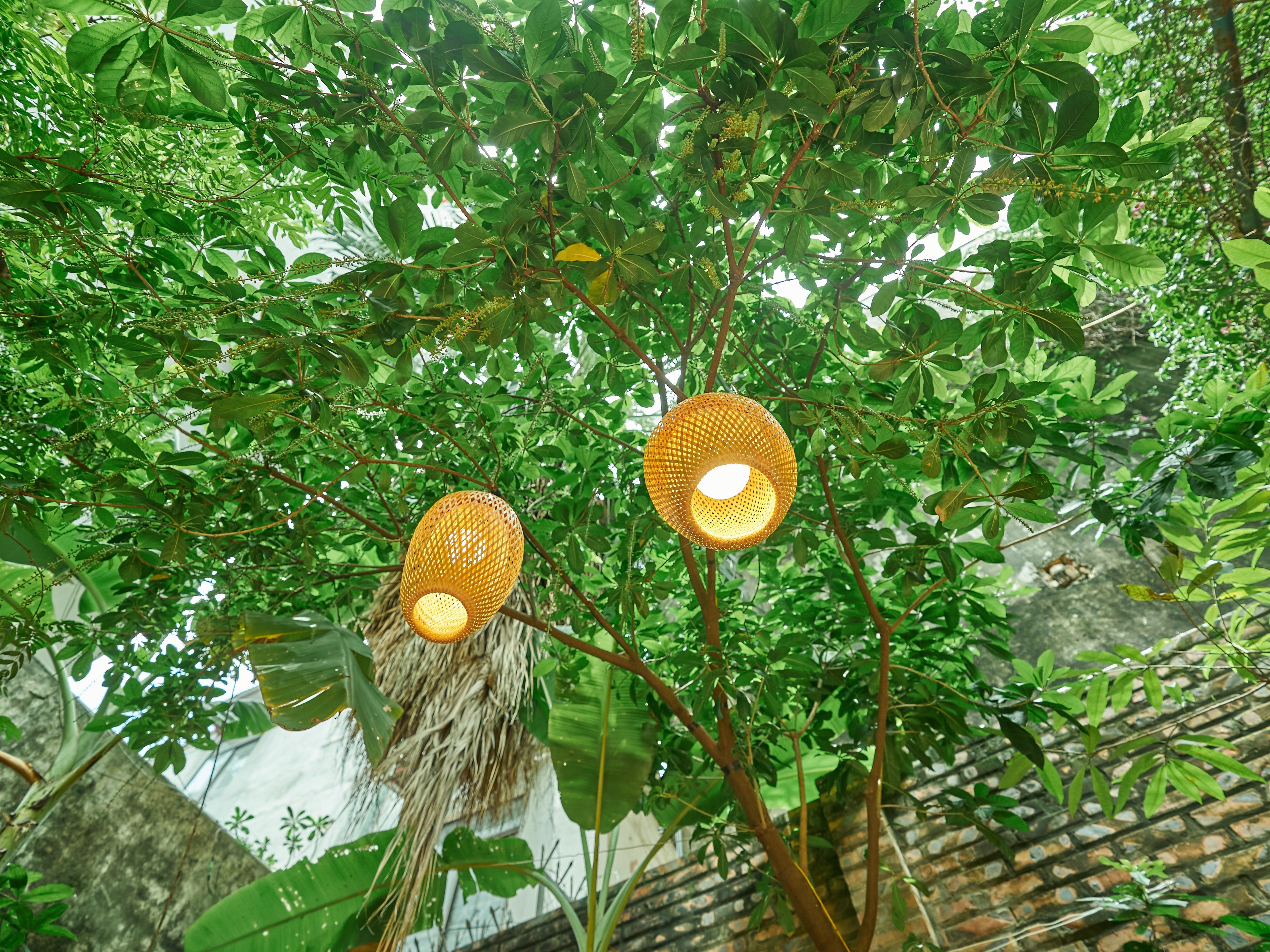 Vegan Cooking Class in Local Villa with Market Visit