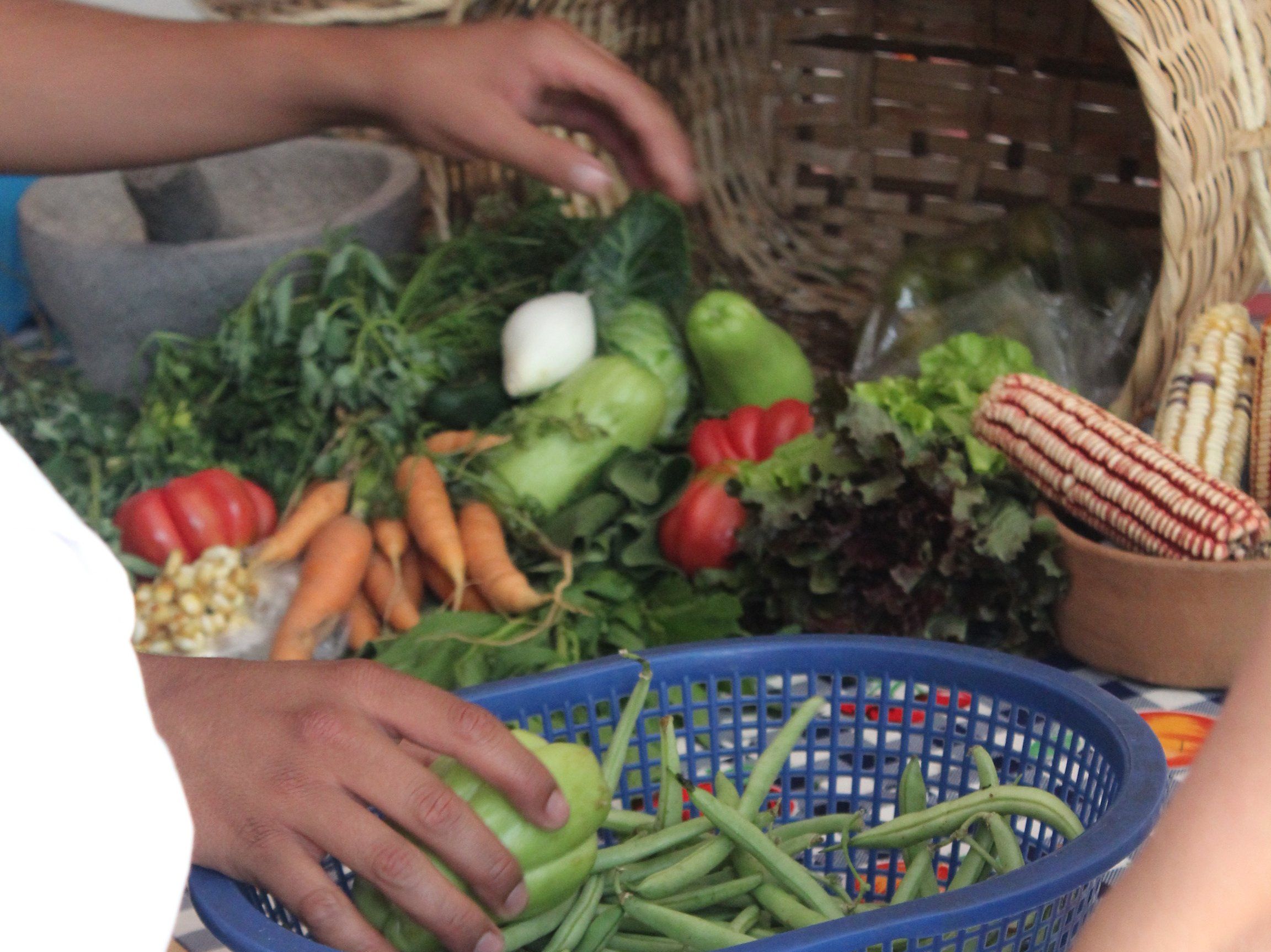Veganer Kochkurs in Oaxaca mit kulinarischer Tour und Einkaufsbummel über den La Merced Markt