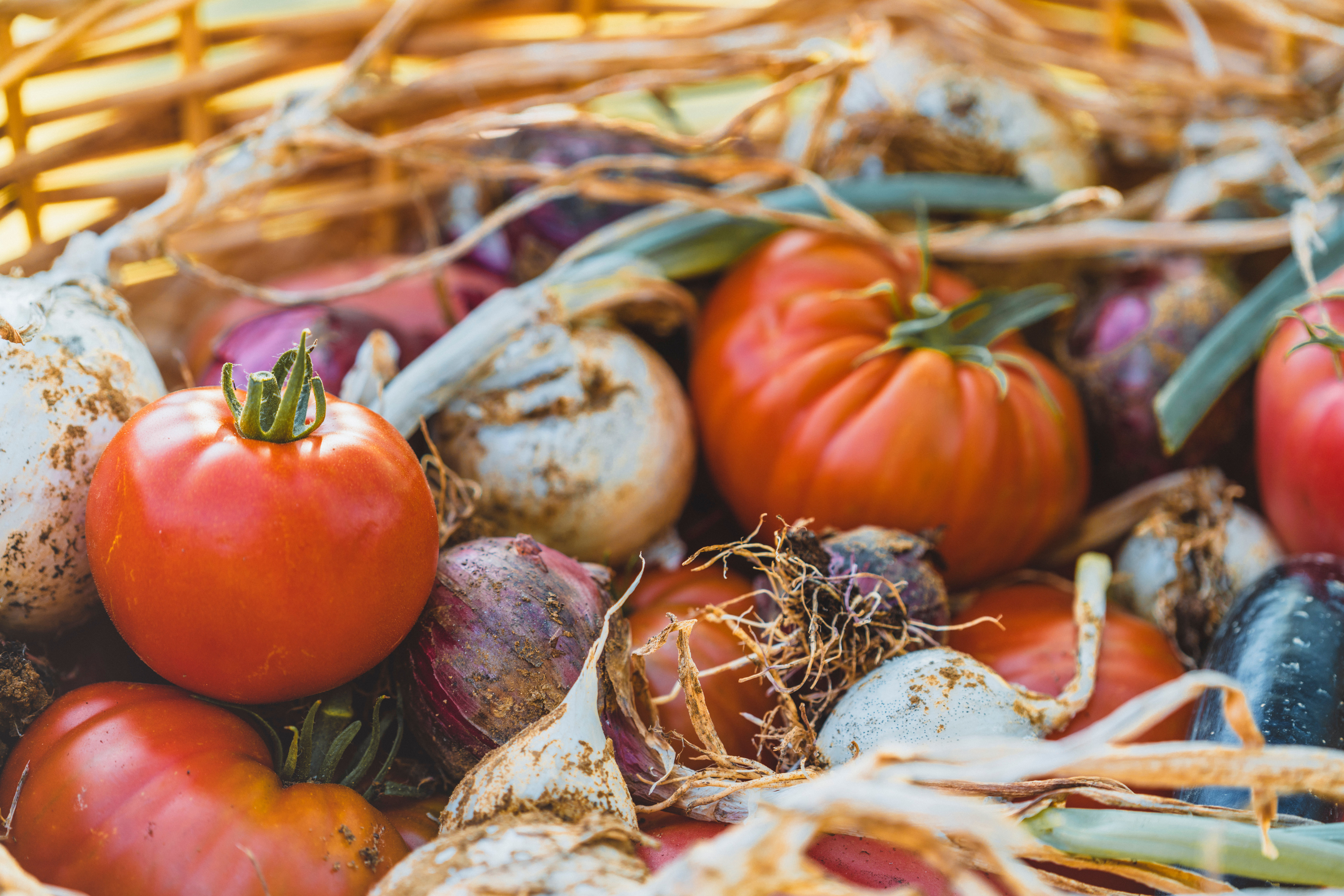 Vegan cooking class in Valdichiana Senese