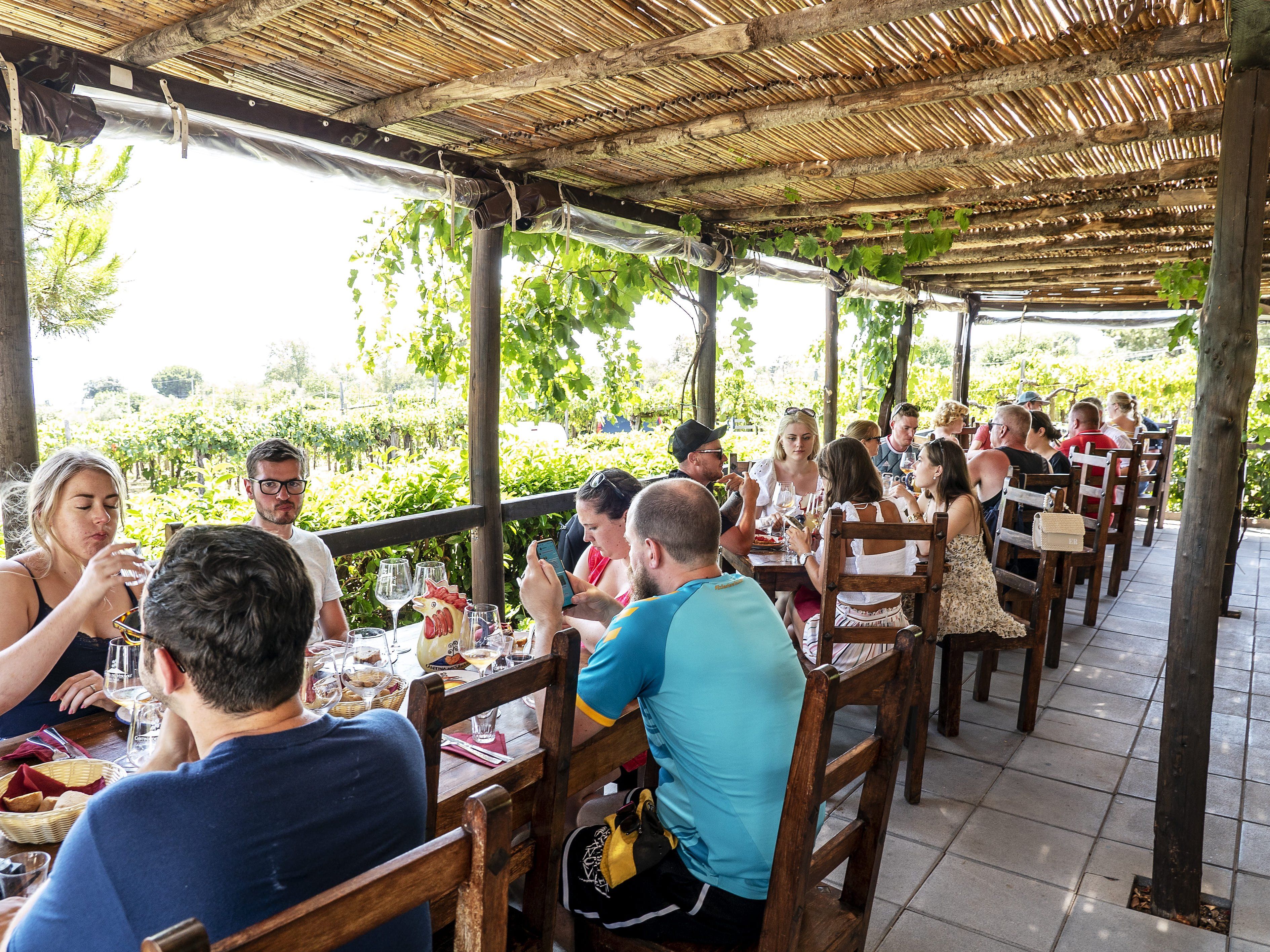 Guided Tour of Vesuvius Wine Tasting with Meal Included