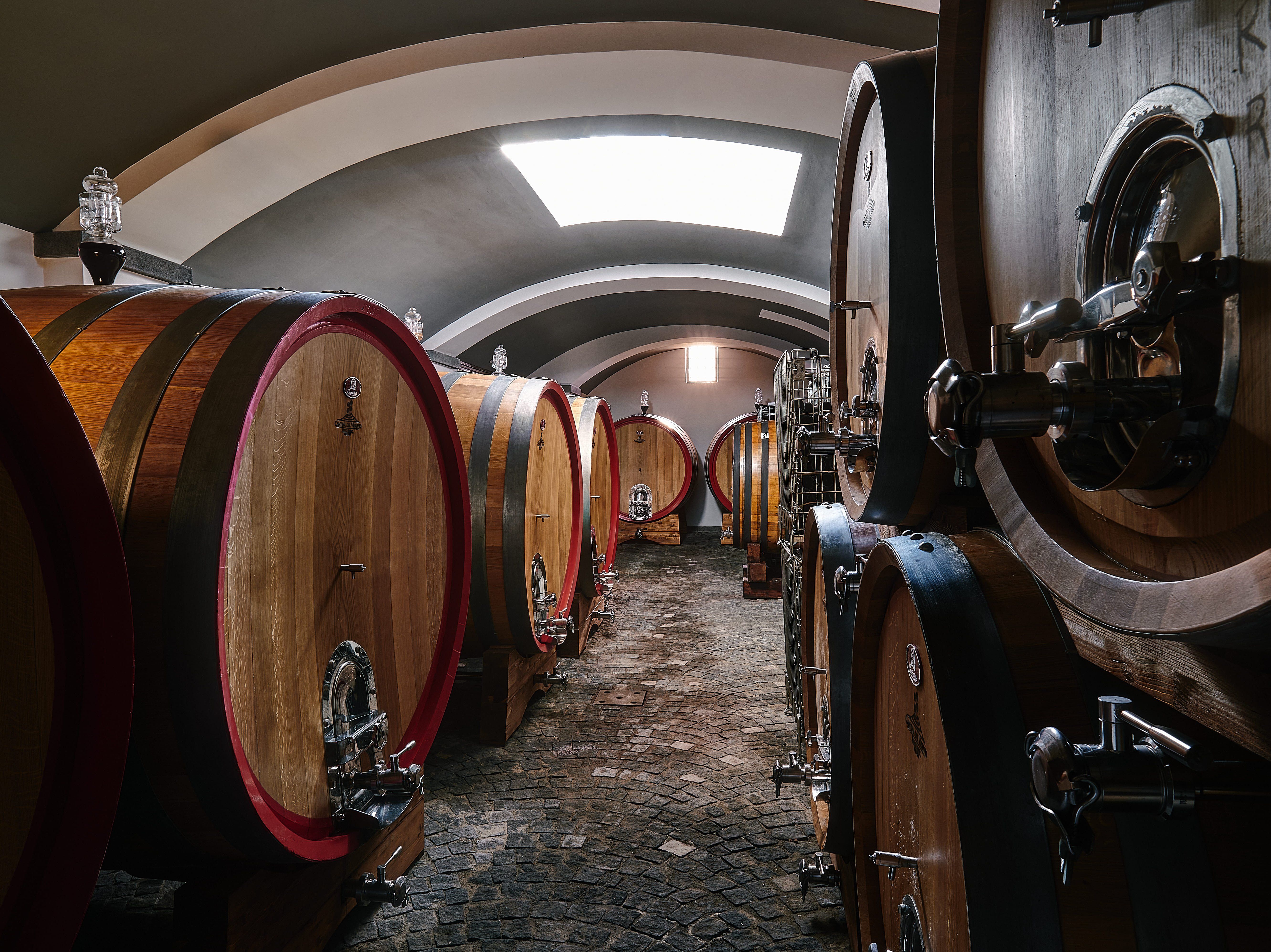 Guided Tour of Vesuvius Wine Tasting with Meal Included